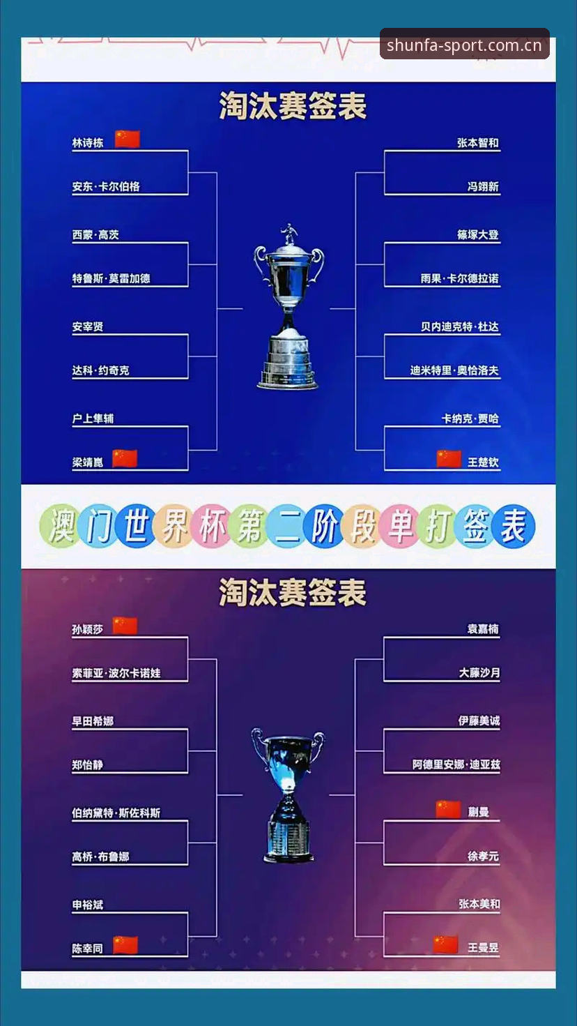 U17世界杯抽签揭晓，资深用户分享在顺发体育平台观赛的实战经验